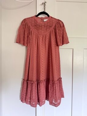 Zara Dusty Rose Eyelet Babydoll Dress
